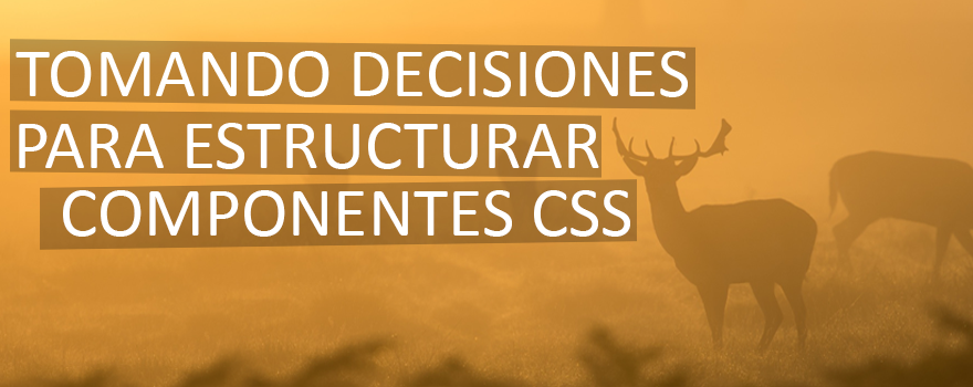 Tomando decisiones para estructurar los componentes en CSS